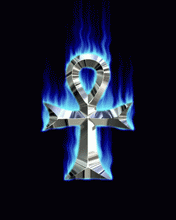 2995021.gif
